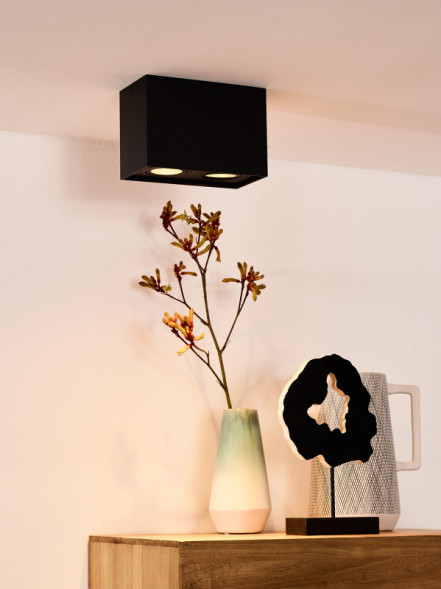 Накладной точечный светильник LUCIDE TUBE 22953/02/30