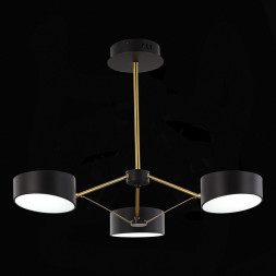 Люстра на штанге Evoluce SLE6005-402-03 VALLE