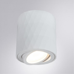Накладной точечный светильник ARTE Lamp FANG A5559PL-1WH