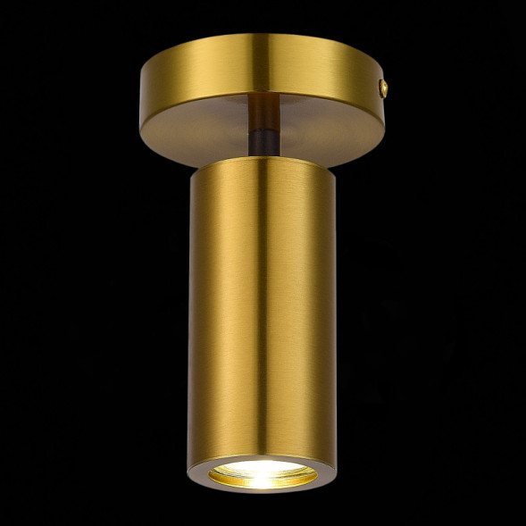 Накладной точечный светильник ST-Luce TALIA SL1215.402.01