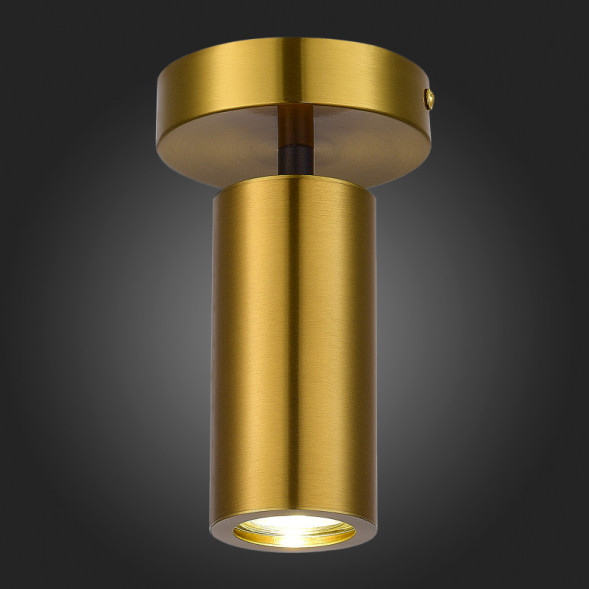 Накладной точечный светильник ST-Luce TALIA SL1215.402.01