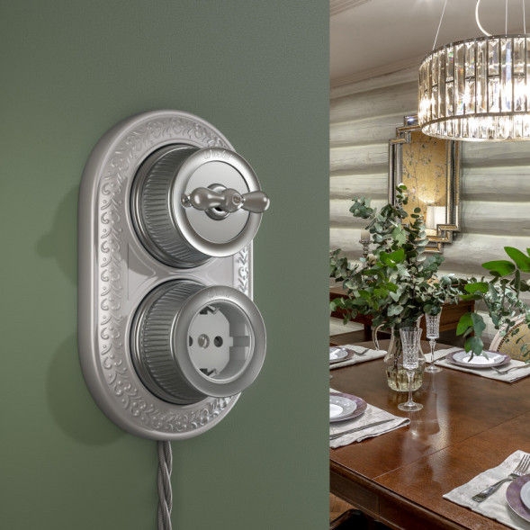 Розетка Werkel WL19-10-02 (Матовый хром)