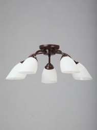 Потолочная люстра Vitaluce V3252 V3252/5PL