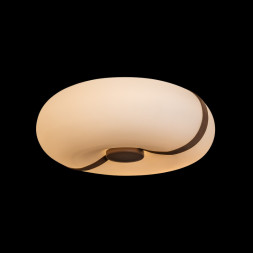 Потолочный светильник LOFT IT 10473 Bolina