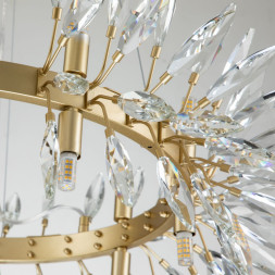 Подвесная люстра Favourite RAYS 4058-14P