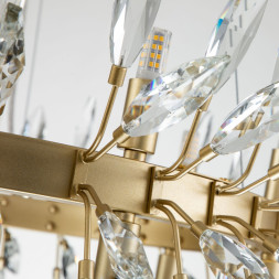 Подвесная люстра Favourite RAYS 4058-14P