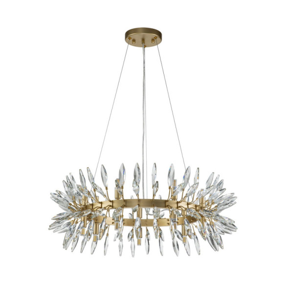 Подвесная люстра Favourite RAYS 4058-14P