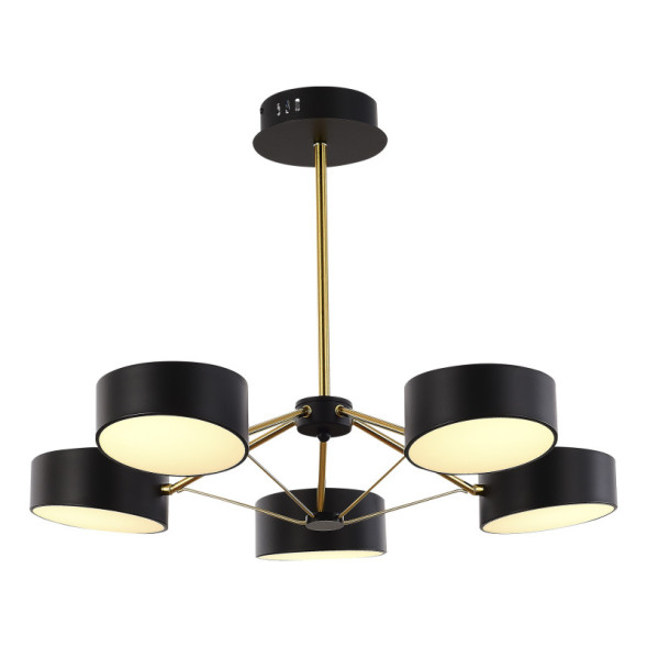 Люстра на штанге Evoluce SLE6005-402-05 VALLE