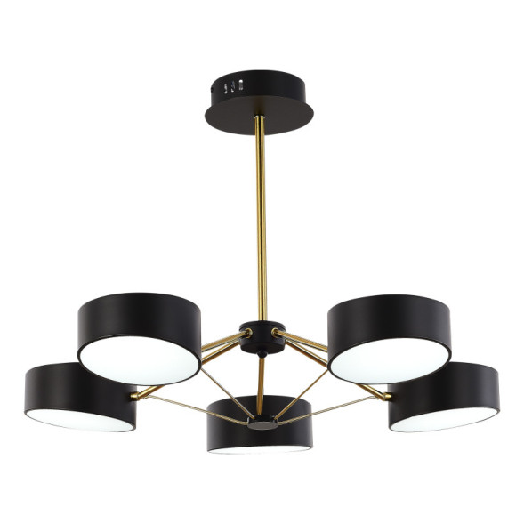 Люстра на штанге Evoluce SLE6005-402-05 VALLE