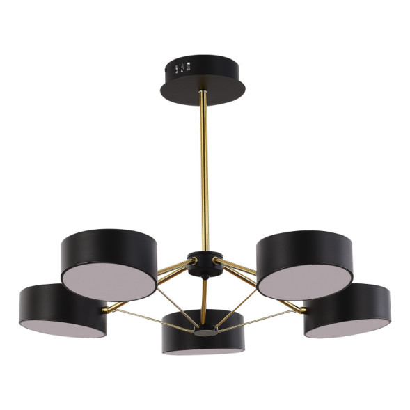 Люстра на штанге Evoluce SLE6005-402-05 VALLE