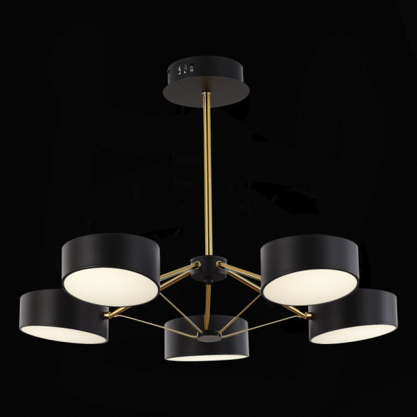 Люстра на штанге Evoluce SLE6005-402-05 VALLE