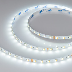 Лента Arlight RT-B60-10mm 5060 025214(1) 72W 24V 530lm белый (регулируемый) IP20