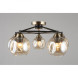 Потолочная люстра Omnilux Omnilux 935 OML-93507-05