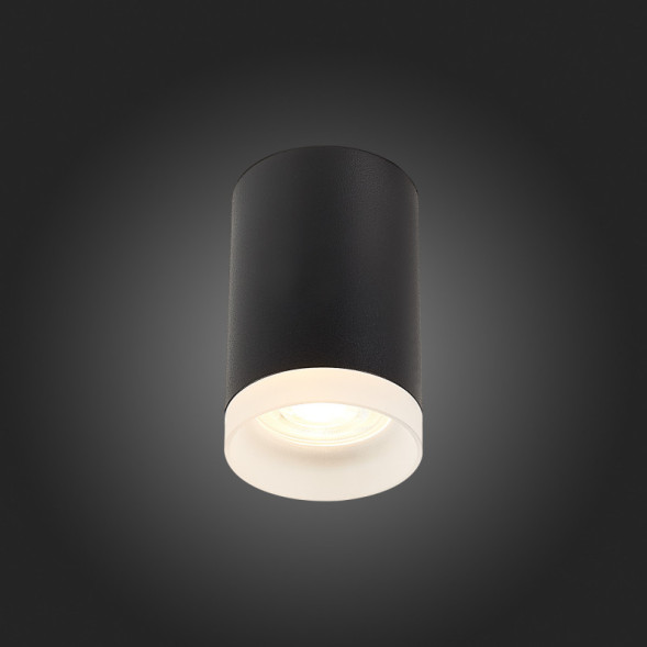 Накладной точечный светильник ST-Luce ST100 ST100.402.01