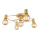 Люстра потолочная APLOYT APL.911.07.05 Elison