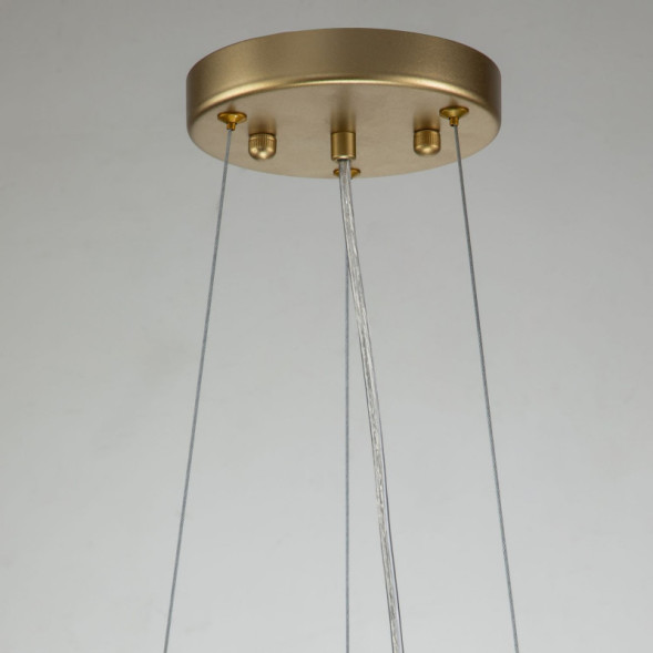 Подвесная люстра Favourite RAYS 4058-8P