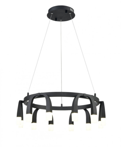 Подвесная люстра Vele Luce NEGRO VL7102P12