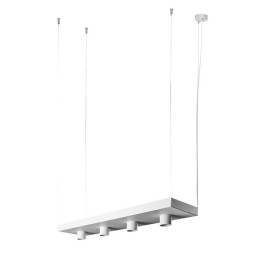 Подвесной светильник Nowodvorski PLANT 9382