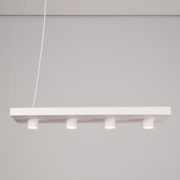 Подвесной светильник Nowodvorski PLANT 9382