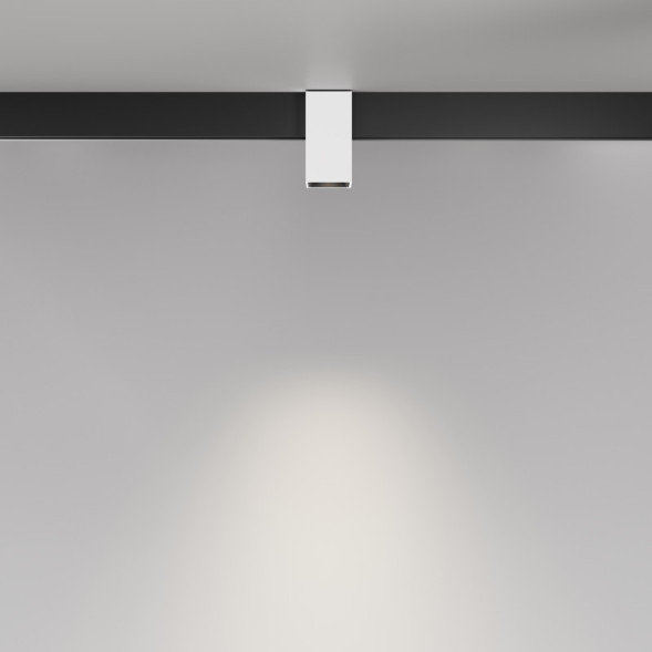 Магнитный трековый светильник Maytoni Technical ALFA TR121-4-7W-DS-W