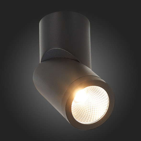 Точечный влагозащищенный светильник ST-Luce ST650 ST650.432.10