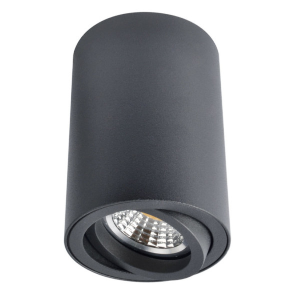 Накладной точечный светильник ARTE Lamp SENTRY A1560PL-1BK