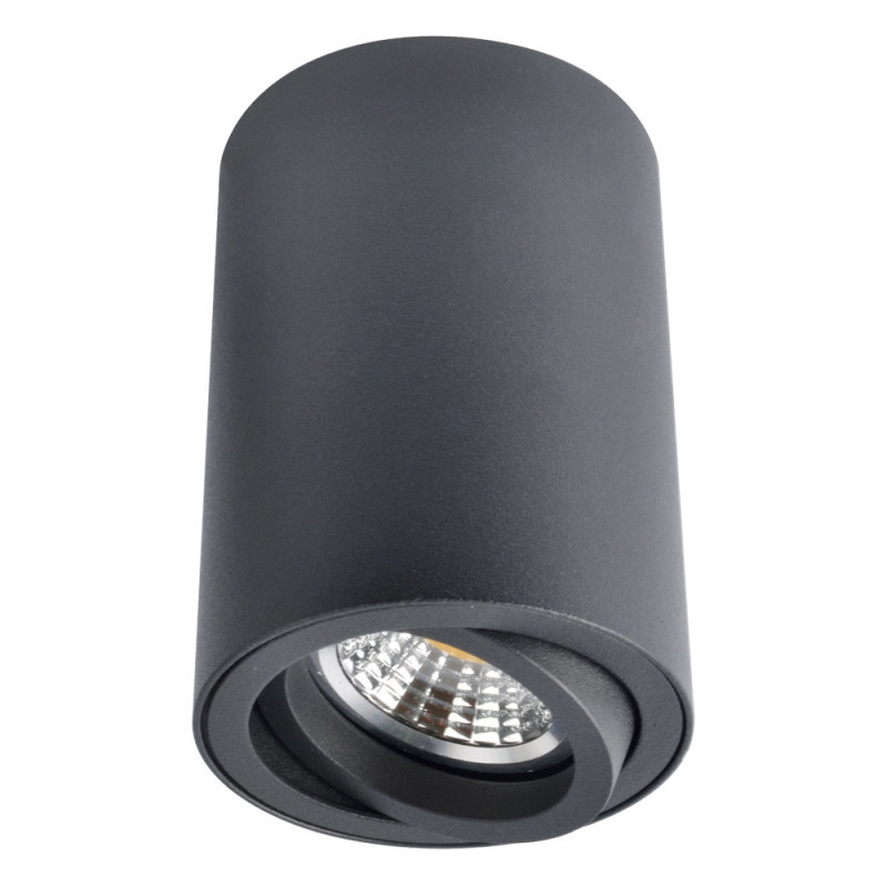 Накладной точечный светильник ARTE Lamp SENTRY A1560PL-1BK