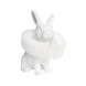 Детская настольная лампа LOFT IT Bunny 10117/C