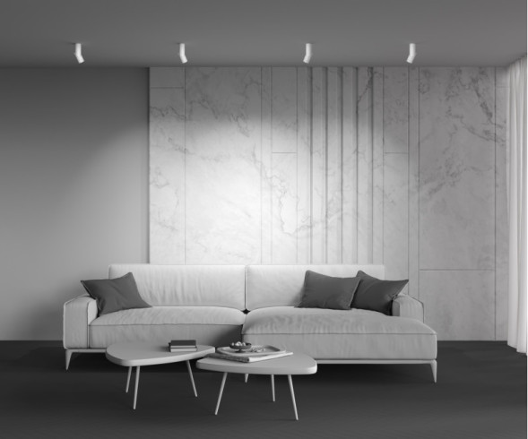 Накладной точечный светильник Maytoni Technical DAFNE C027CL-L10W