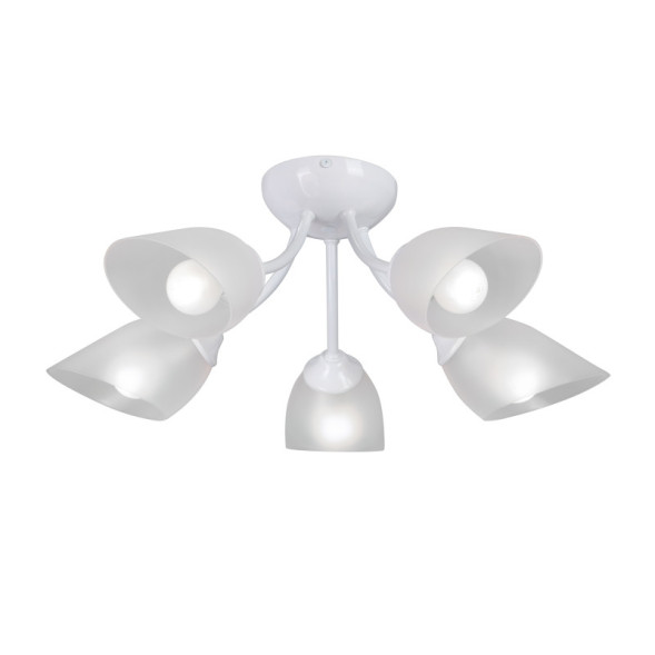 Накладная люстра Vitaluce V3405-0/5PL