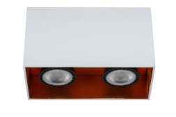 Накладной точечный светильник LUCIDE BODIBIS 22966/02/31