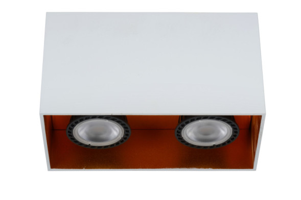 Накладной точечный светильник LUCIDE BODIBIS 22966/02/31