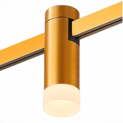 Магнитный трековый светильник ST-Luce ST812.246.03 FARM