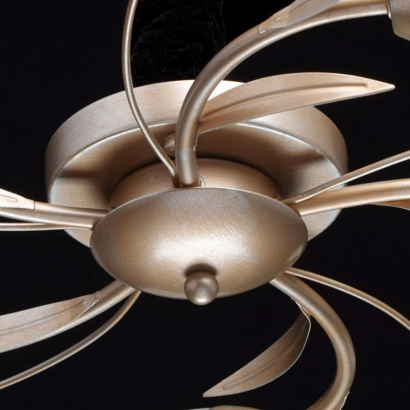 Потолочная люстра MW-Light Восторг 242016205