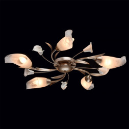Потолочная люстра MW-Light Восторг 242016205
