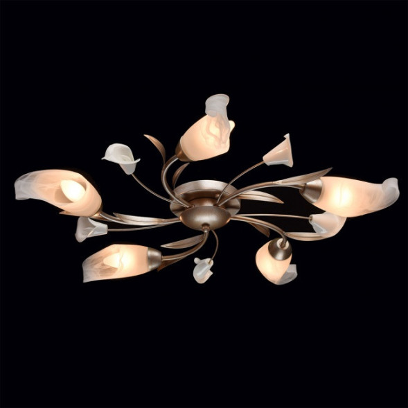 Потолочная люстра MW-Light Восторг 242016205
