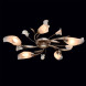 Потолочная люстра MW-Light Восторг 242016205