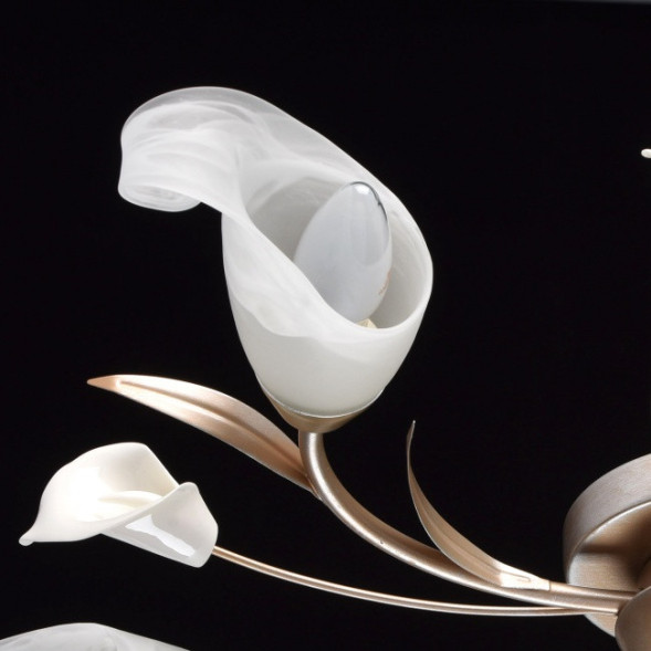 Потолочная люстра MW-Light Восторг 242016205