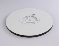 Потолочный светильник Ambrella Light FZ1961 ORBITAL