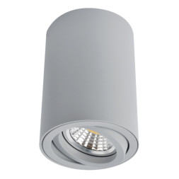 Накладной точечный светильник ARTE Lamp SENTRY A1560PL-1GY