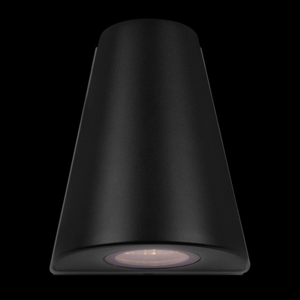 Уличный настенный светильник LOFT IT 100004/2