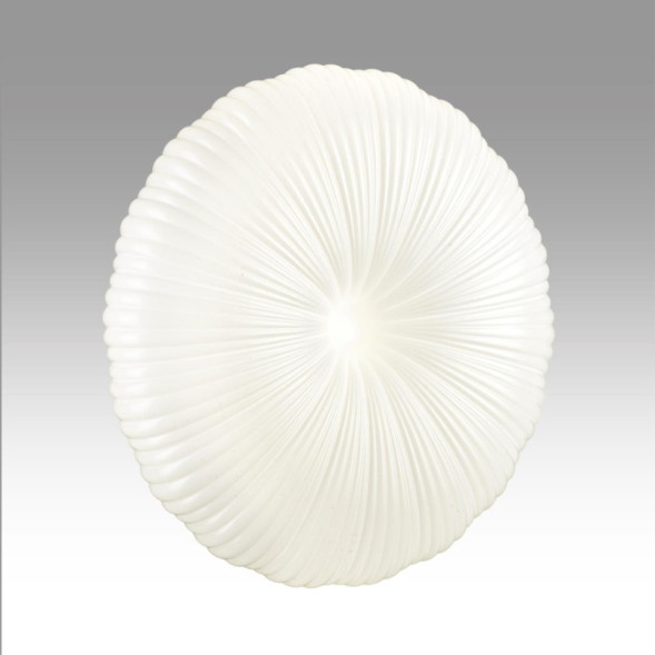 Потолочный светильник Sonex ANIX 7678/FL