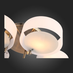 Люстра на штанге Evoluce Foresta SL483.352.05