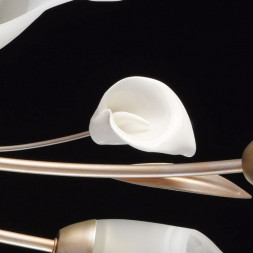 Потолочная люстра MW-Light Восторг 242016306