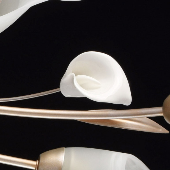 Потолочная люстра MW-Light Восторг 242016306