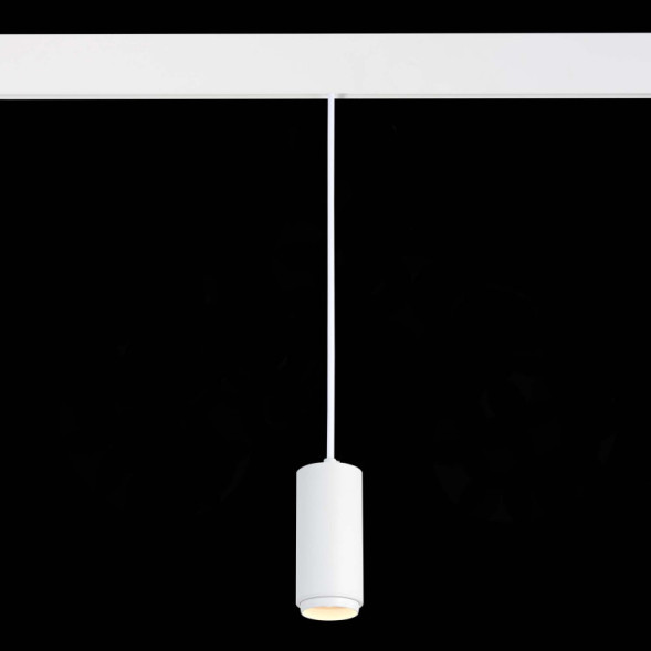 Магнитный трековый светильник ST-Luce ZOOM ST357.543.06