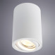 Накладной точечный светильник ARTE Lamp SENTRY A1560PL-1WH