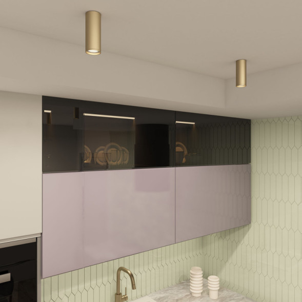 Накладной точечный светильник Denkirs TUBE DK2051-SG