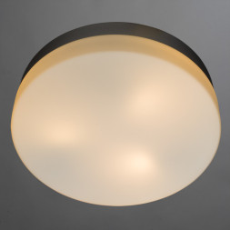 Потолочный светильник ARTE Lamp AQUA A3211PL-3SI