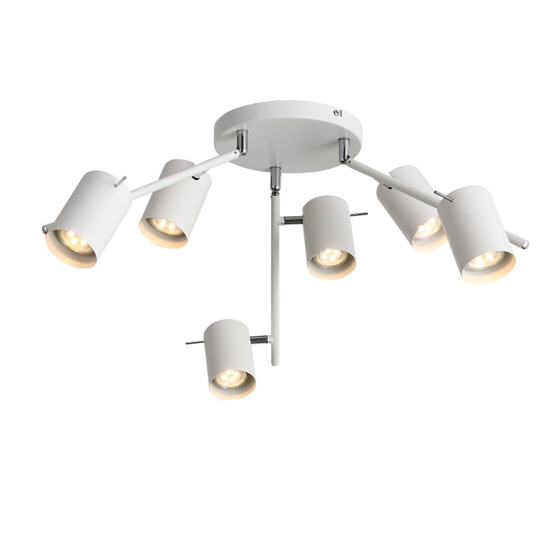 Потолочный светильник ST-Luce Fanale SL597.502.06